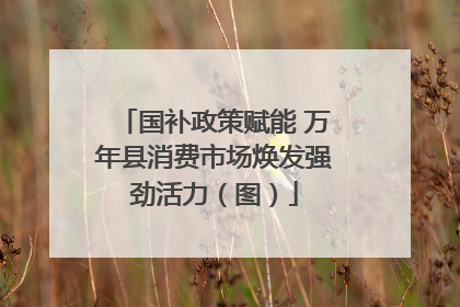 国补政策赋能 万年县消费市场焕发强劲活力（图）